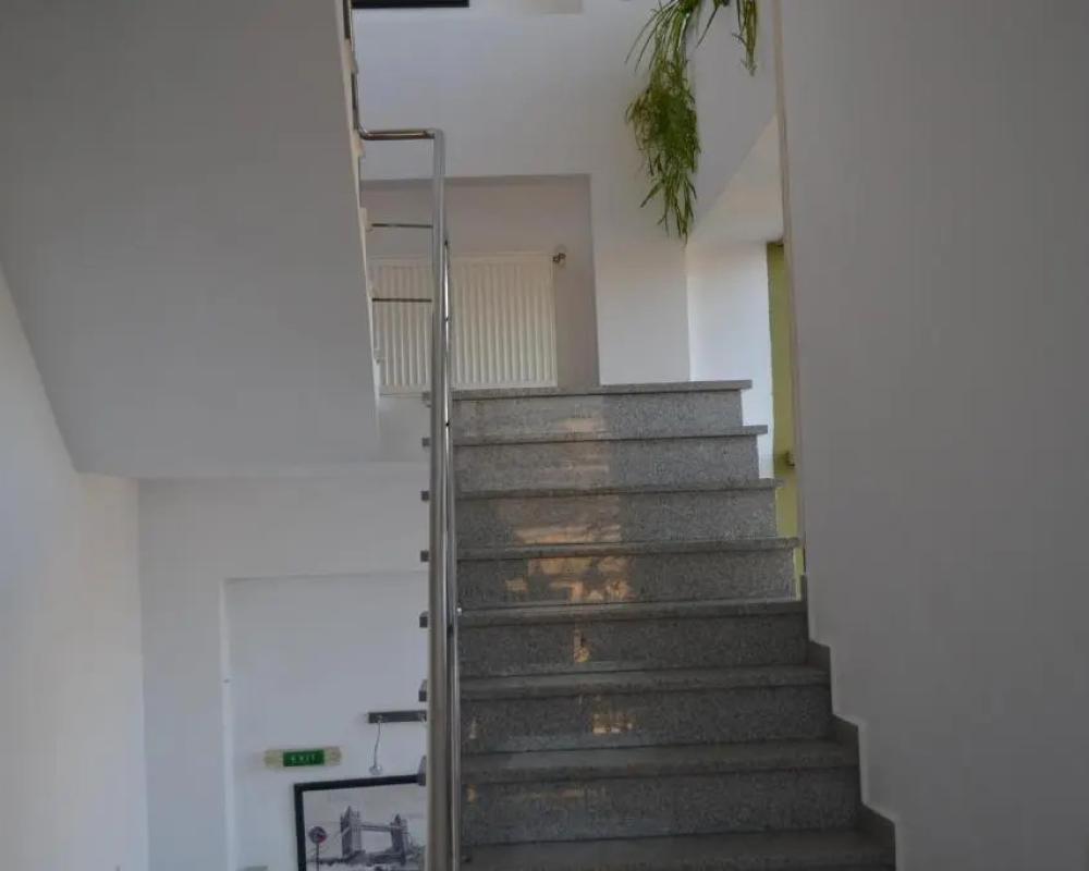 фото Live Tulcea
