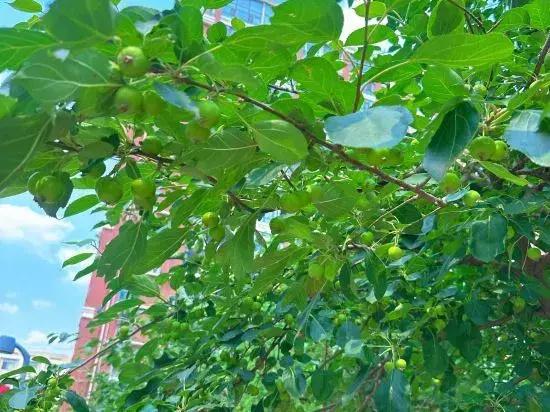 Huolin Gol Fengqiao Yebo Homestay