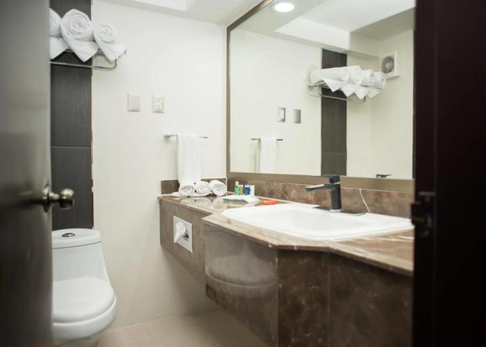 Radisson Hotel & Convention Center Toluca