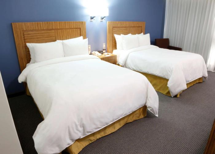 Radisson Hotel & Convention Center Toluca
