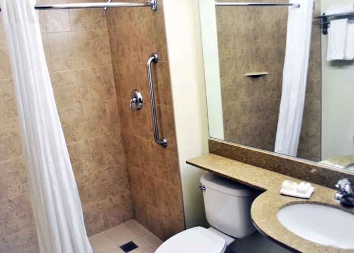 Microtel Inn & Suites by Wyndham Toluca
