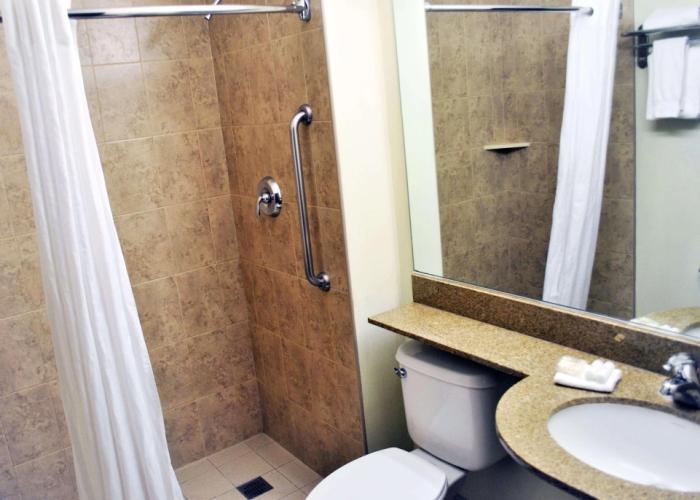 Microtel Inn & Suites by Wyndham Toluca