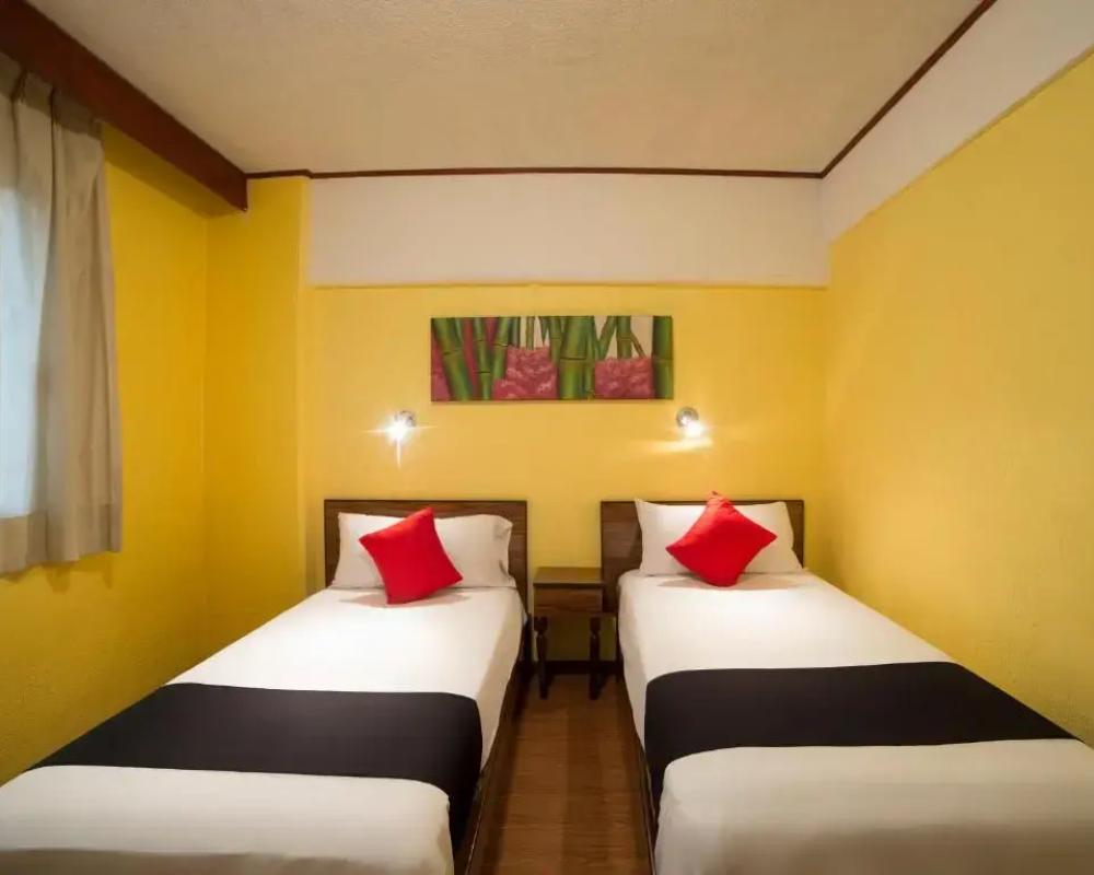 фото Hotel Rex