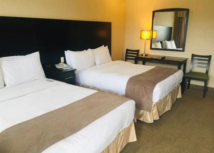 Hotel - Motel Coconut