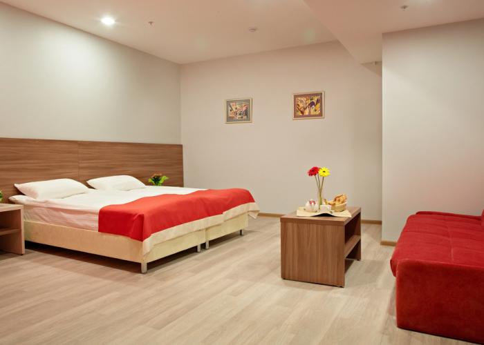 Hotel GRINN
