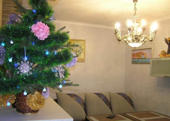 Oliviya Na Radischeva Apartments
