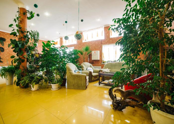 Kurskij Solovej Hotel