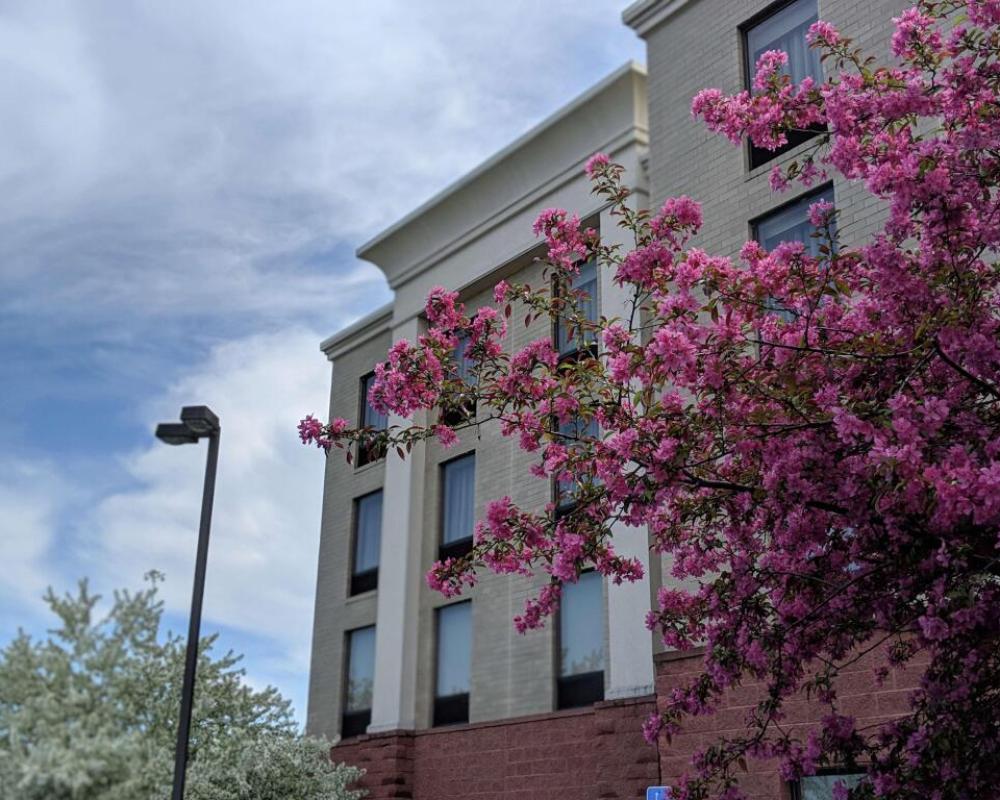 Hampton Inn & Suites Cincinnati-Union Center