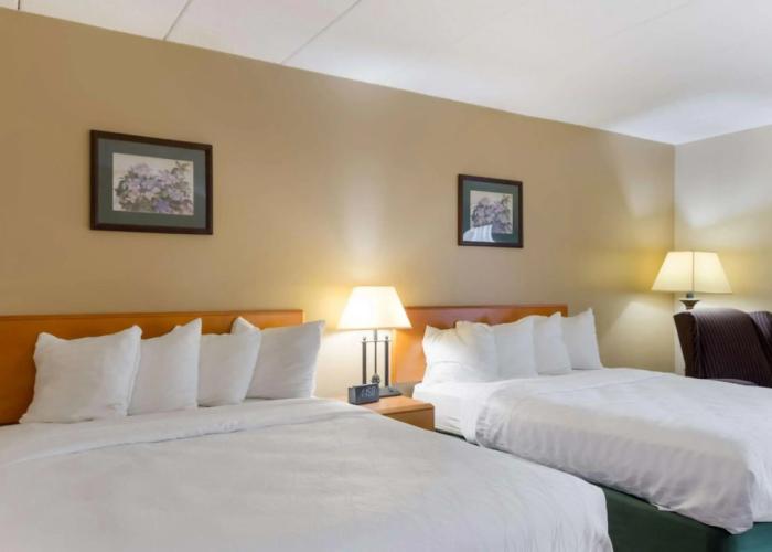 All Seasons Inn & Suites