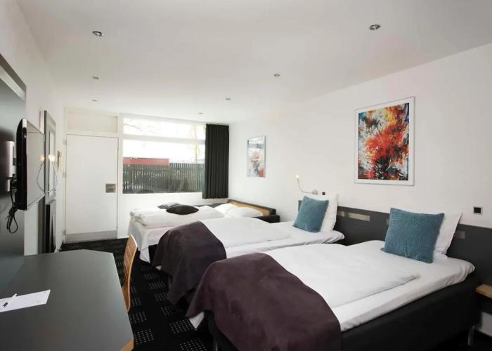 Hotel Hedegaarden