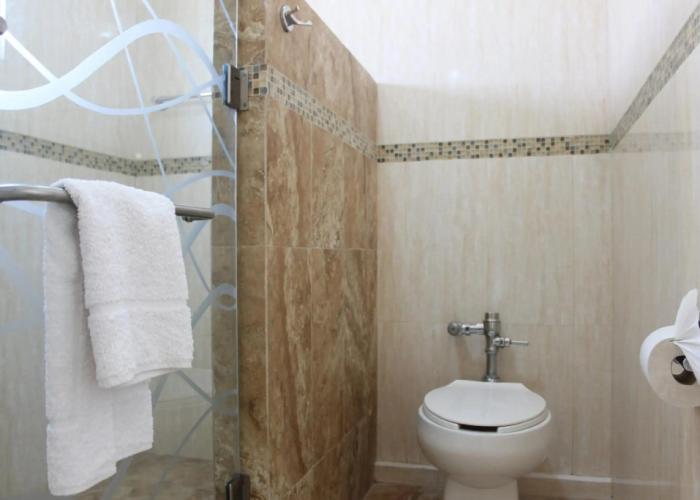 Hotel Flamingo Irapuato