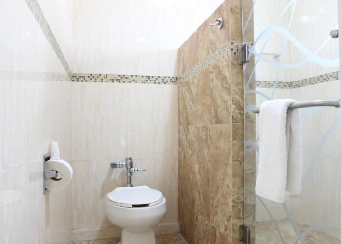 Hotel Flamingo Irapuato