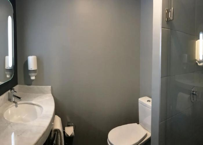 ibis Irapuato