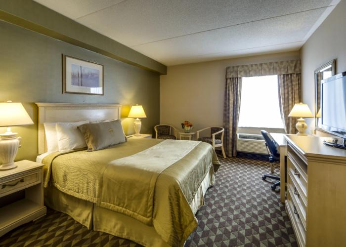 Monte Carlo Inn Toronto - Markham