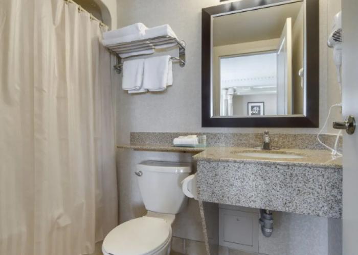 Monte Carlo Inn & Suites Downtown Markham