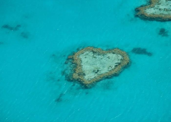 Whitsunday On The Beach