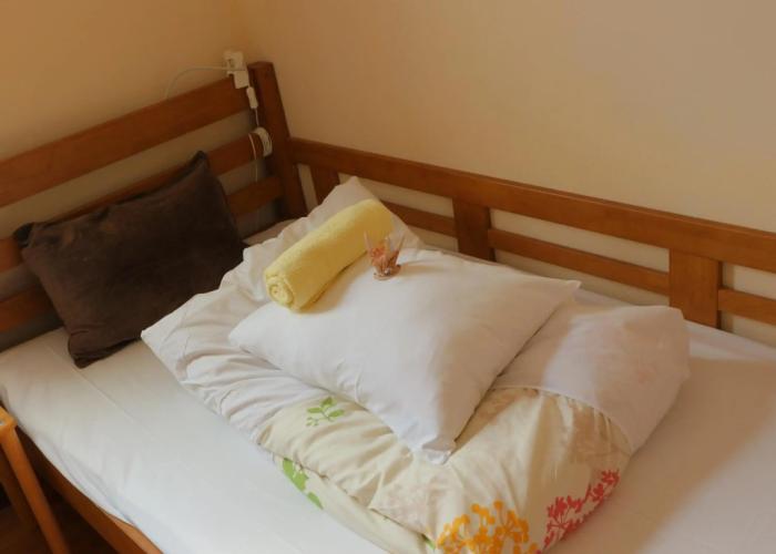 Hostel Fujisan YOU
