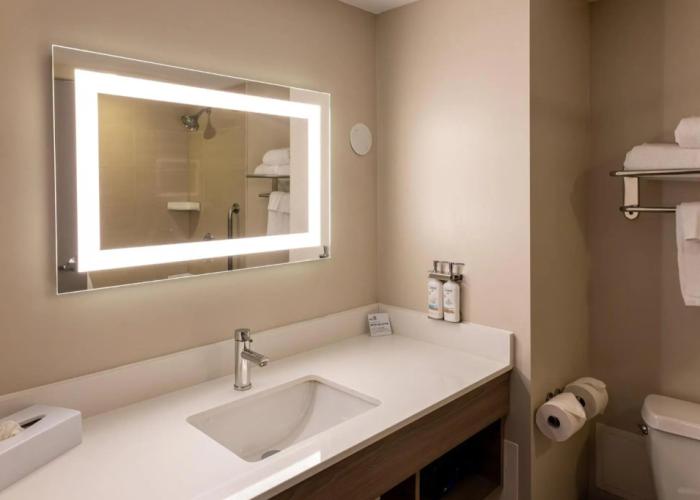 Holiday Inn Express Hotel & Suites Brockville by IHG