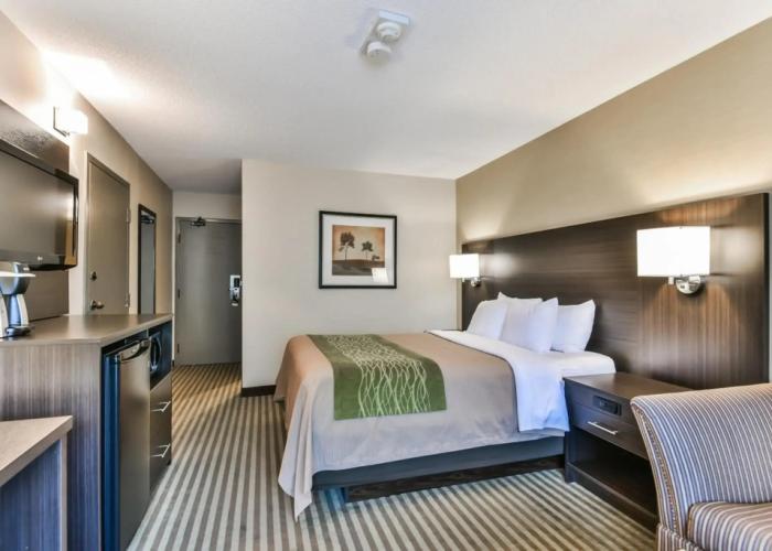 Comfort Inn Chatham