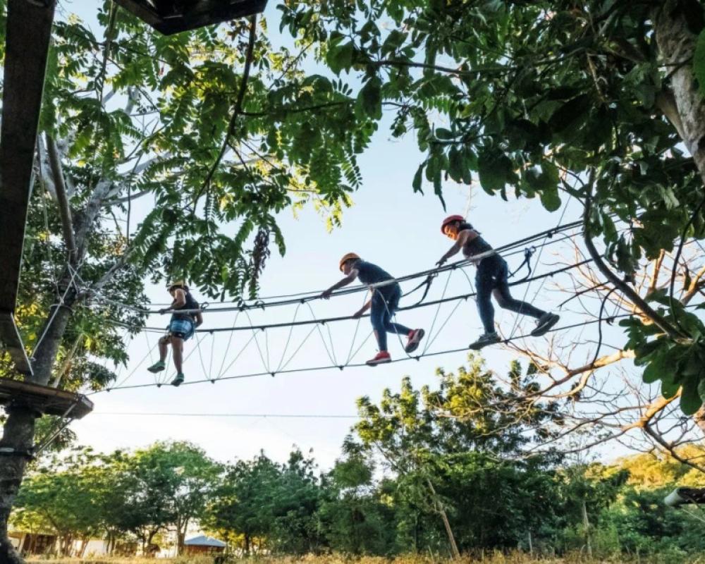 фото Discovery Coron