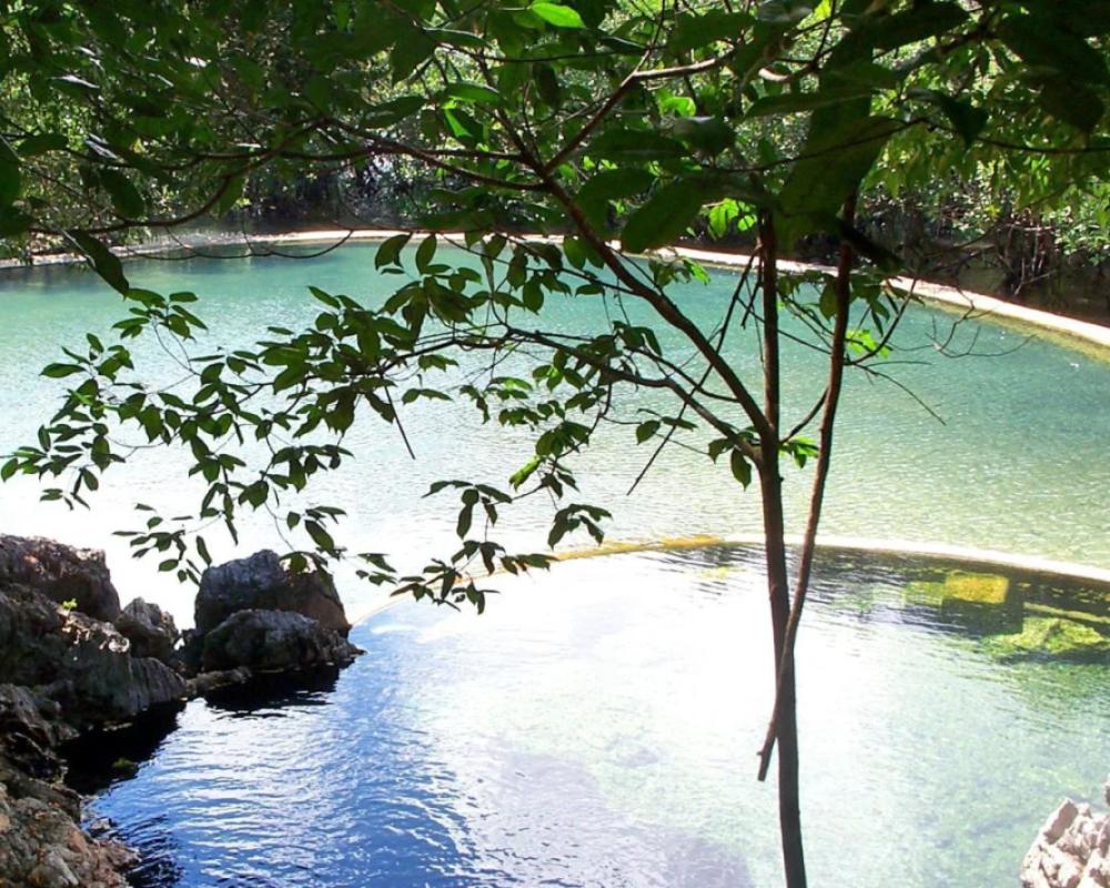 фото Discovery Coron