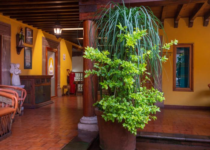 Hotel La Parroquia
