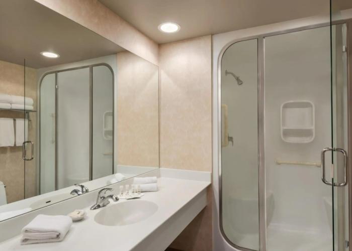 Royal Hotel Edmonton Airport, Trademark Collection by Wyndham