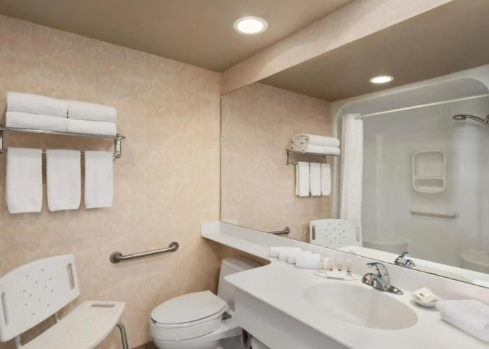 Royal Hotel Edmonton Airport, Trademark Collection by Wyndham