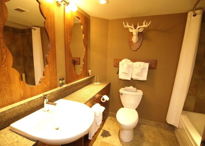 Banff Caribou Lodge and Spa