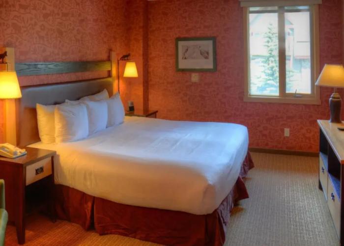 The Fox Hotel and Suites