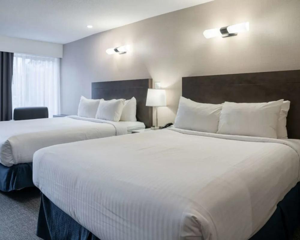 фото Red Carpet Inn
