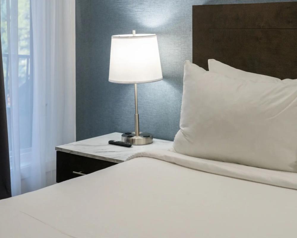 фото Red Carpet Inn