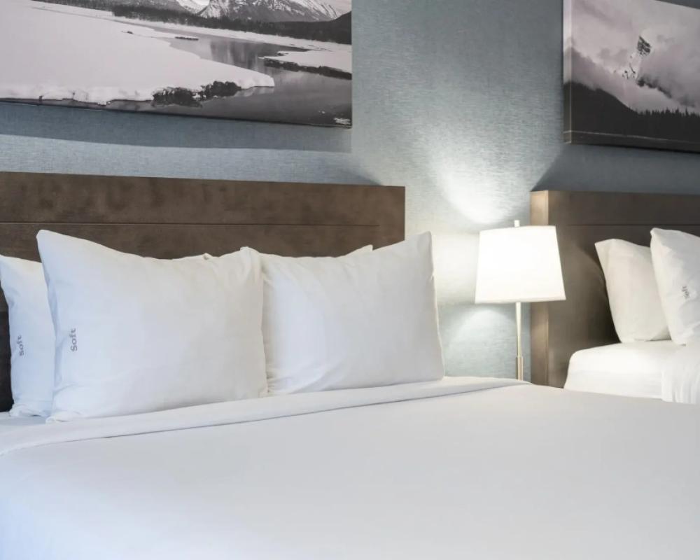 фото Red Carpet Inn