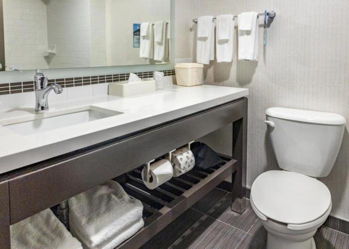 Holiday Inn Hotel & Suites St. Catharines Conference Center by IHG