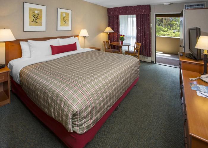 Marmot Lodge