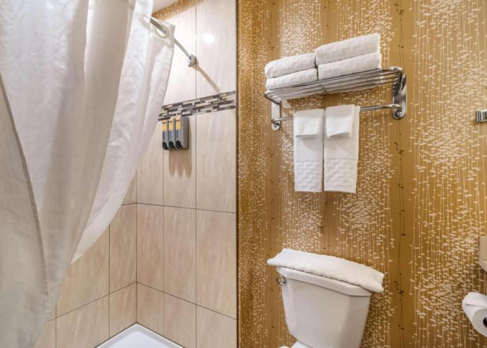 Best Western Plus Kindersley Hotel