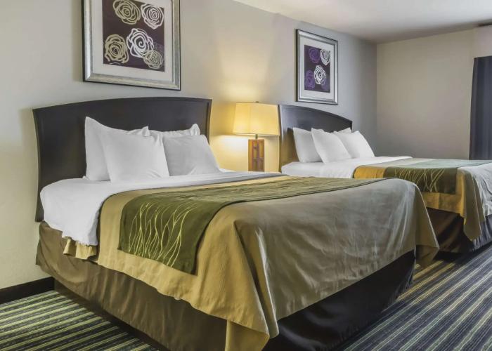 Comfort Inn & Suites