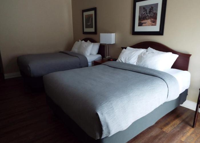 Quality Inn