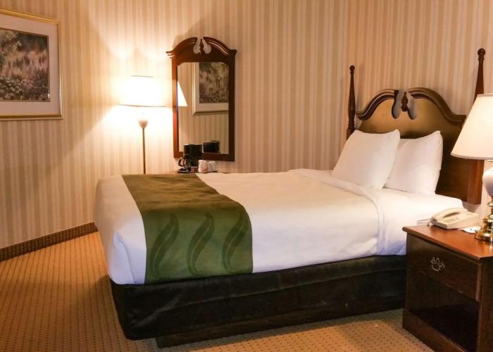 Quality Hotel & Suites