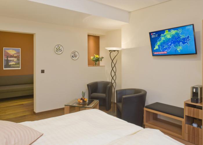 Hotel Ambassador Brig
