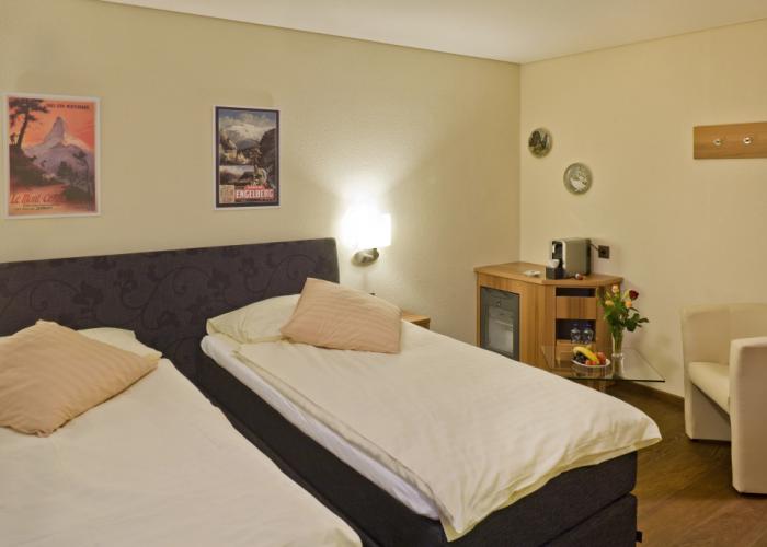 Hotel Ambassador Brig