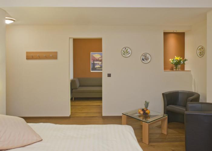 Hotel Ambassador Brig