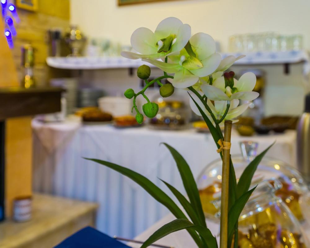 фото Epavlis Boutique Suites
