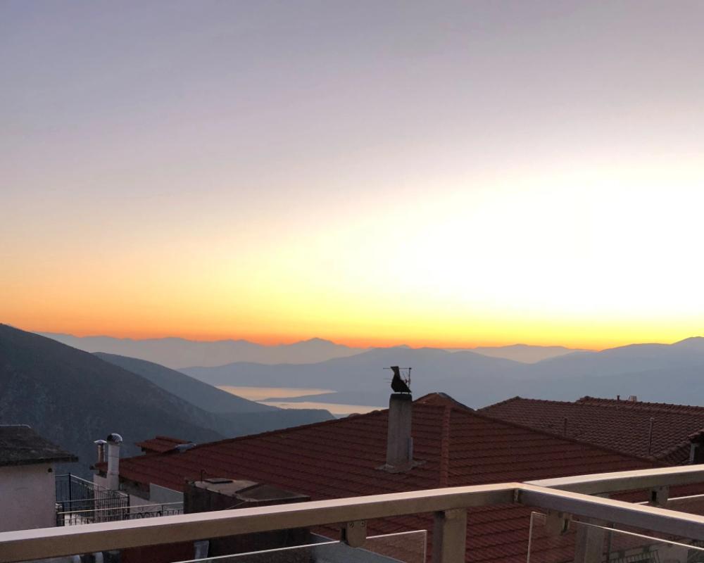 фото Parnassos Delphi Hotel