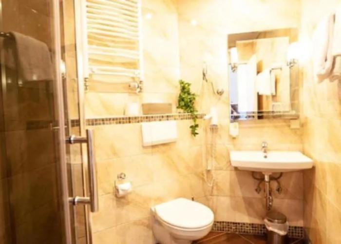 Hotel Silesia