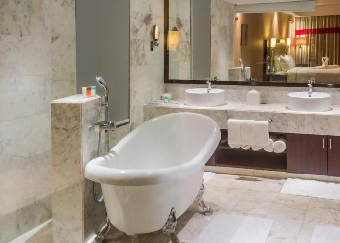 Radisson Hotel Agra