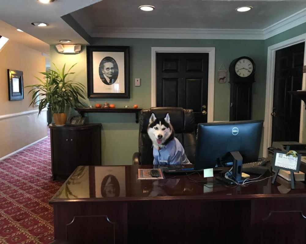 The Morgan Hotel San Simeon