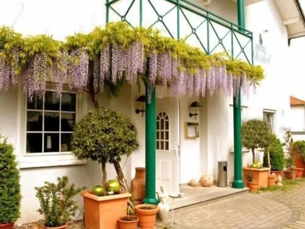 фото Hotel Sterkel
