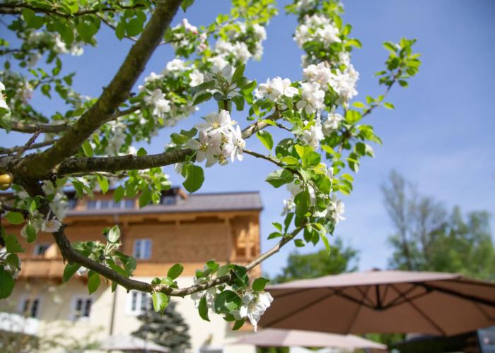 Hotel Försterhof