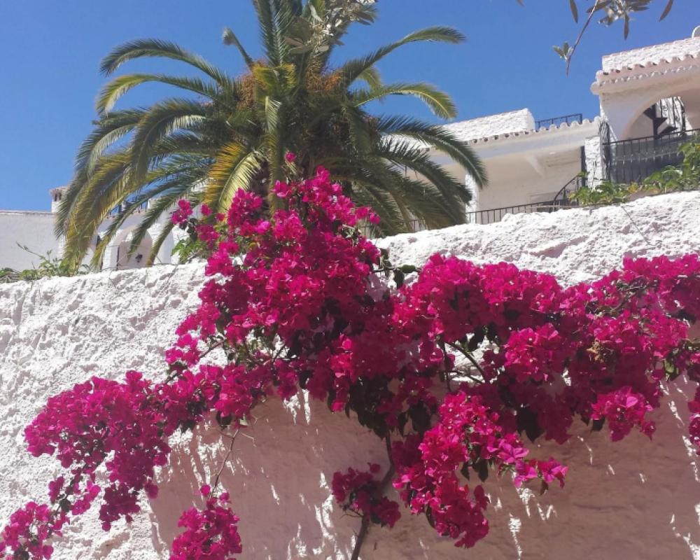 фото El Capistrano Sur